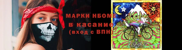 ECSTASY Богородицк