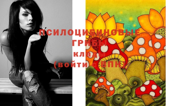 молекула духа Беломорск