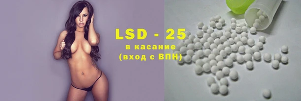 ECSTASY Богородицк