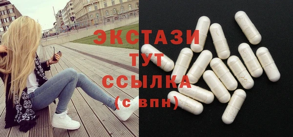 ECSTASY Богородицк