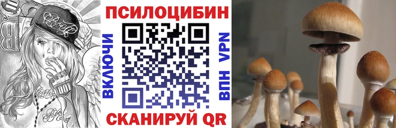 цены наркотик  Можайск  Псилоцибиновые грибы Psilocybine cubensis 